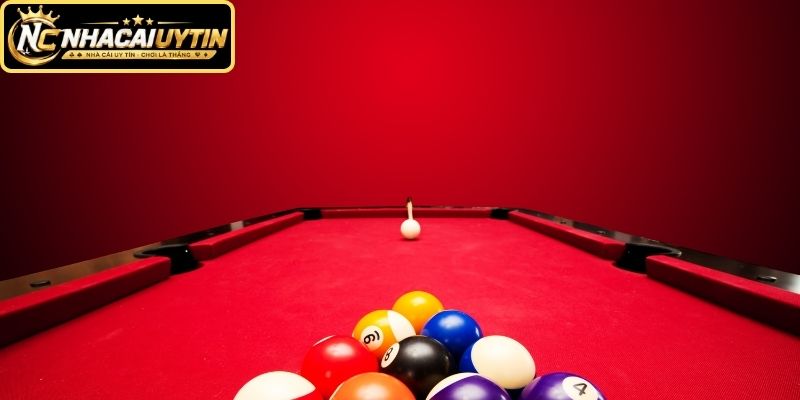Cá Cược Bida là gì và khác biệt khi phân tích trận đấu