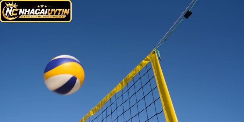 Các loại kèo bóng chuyền phổ biến cần nắm khi đặt cược
