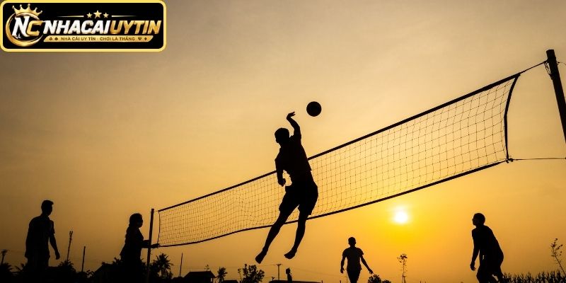 Hiểu đúng Cá Cược Bóng Chuyền trước khi lựa chọn kèo